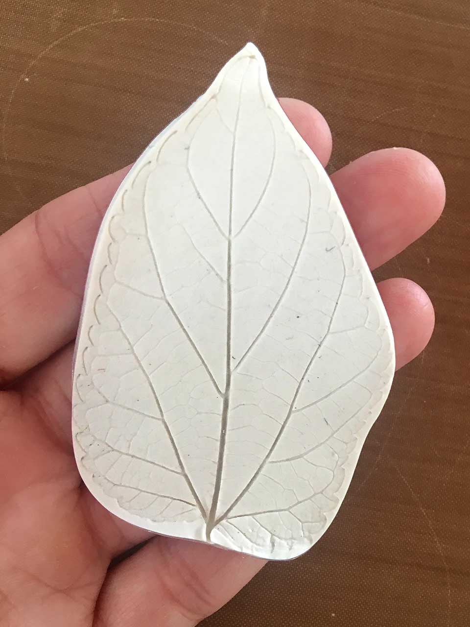 5-leaf-cut-in-hand